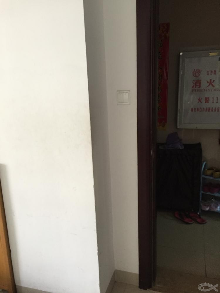 關注裝修